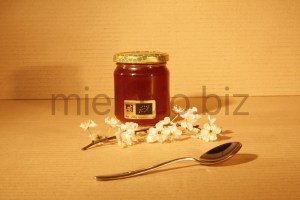 Miel de Chataignier bio pot de 250g de dos